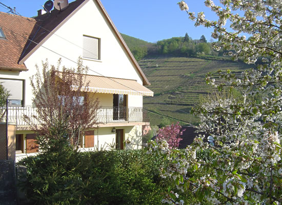 alsace vacation rental