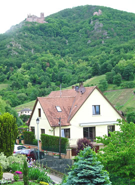 gite alsace ribeauvillé